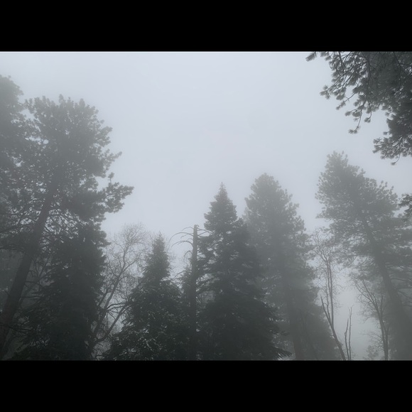 Meet your Posher, Emily - Picture 1 of 1